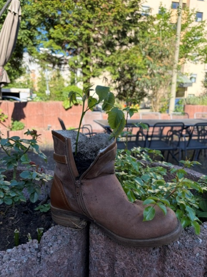 Zusammen geht was - im Kirschgarten I