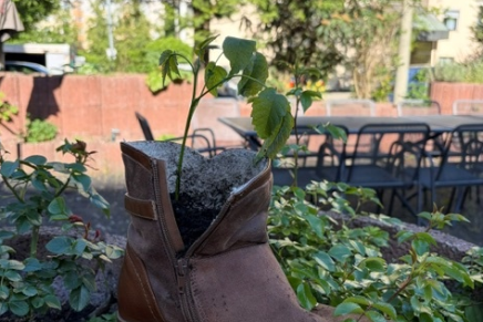 Zusammen geht was - im Kirschgarten I