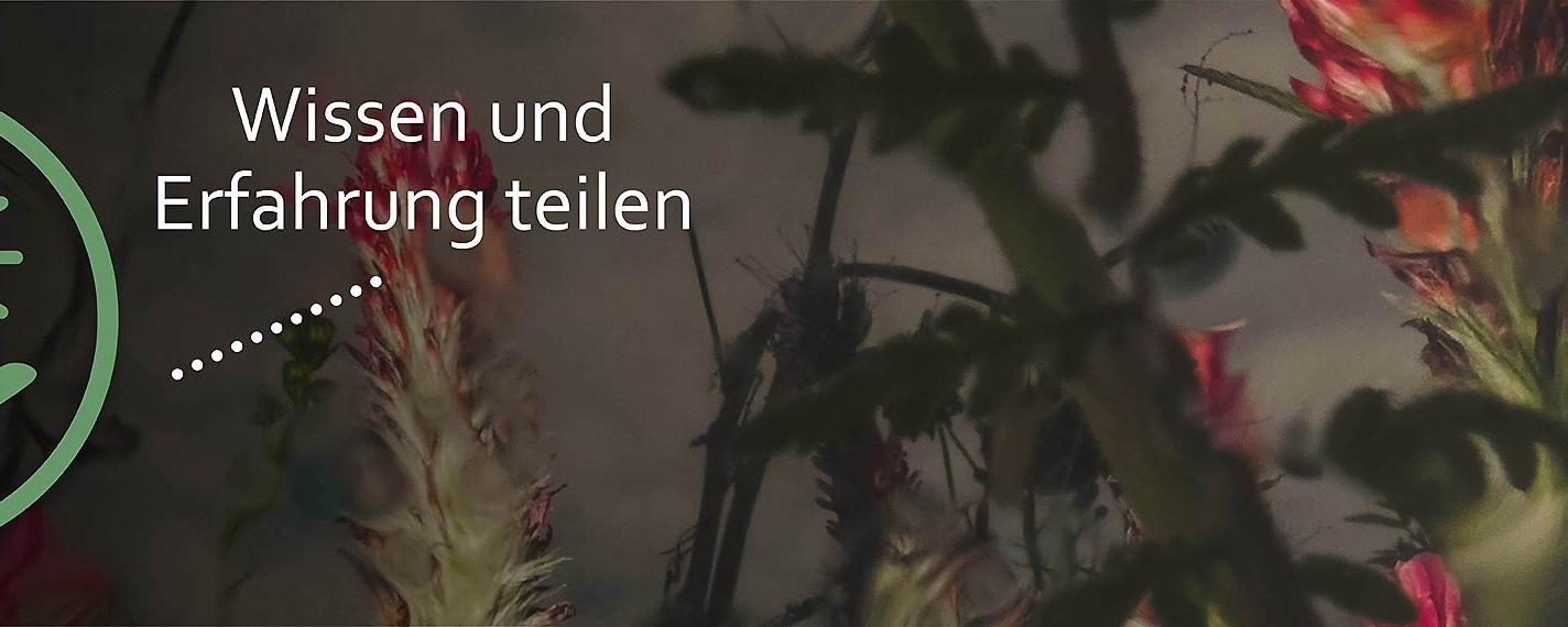 Slider Quartiersarbeit Wissen und Erfahrung