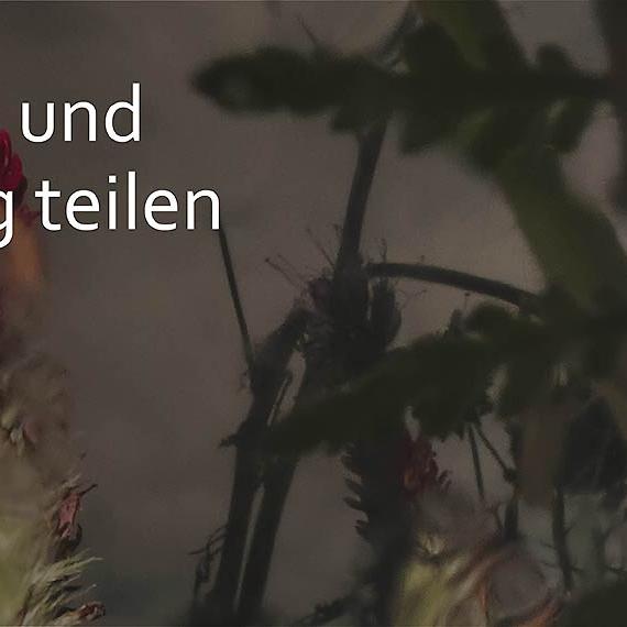 Slider Quartiersarbeit Wissen und Erfahrung