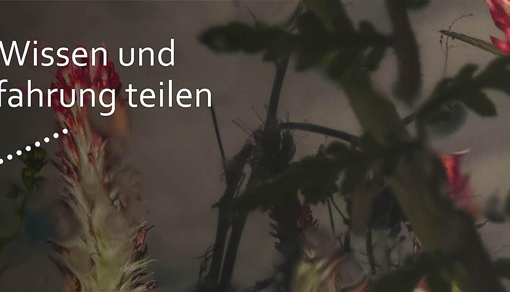 Slider Quartiersarbeit Wissen und Erfahrung