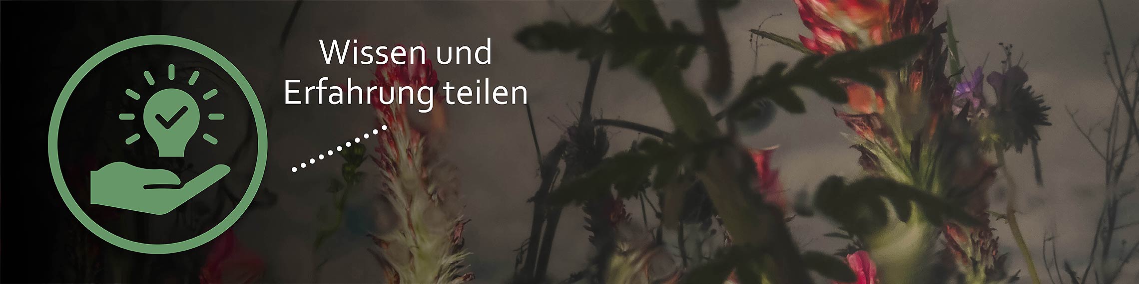 Slider Quartiersarbeit Wissen und Erfahrung