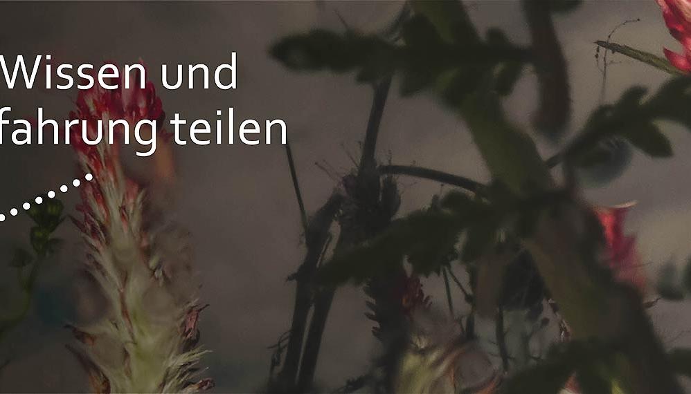 Slider Quartiersarbeit Wissen und Erfahrung