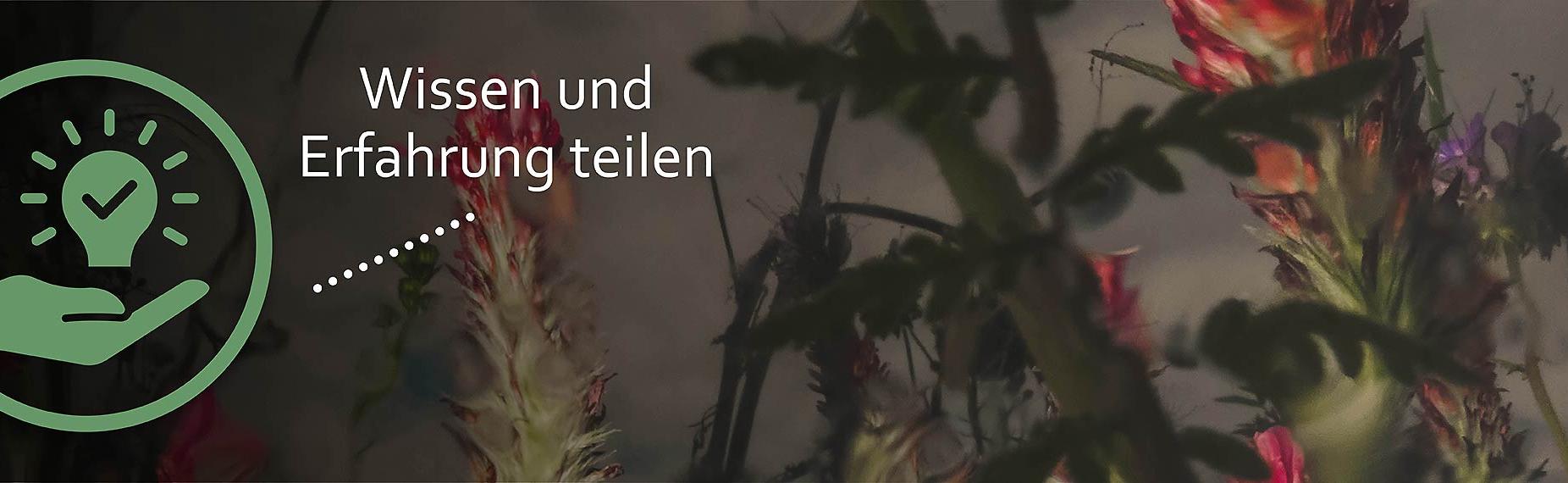 Slider Quartiersarbeit Wissen und Erfahrung