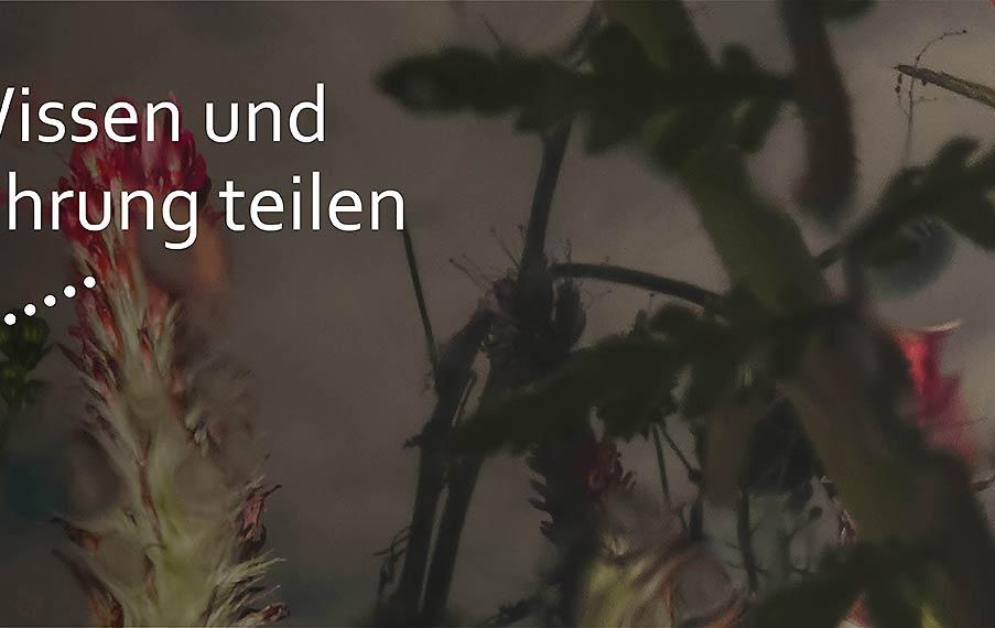 Slider Quartiersarbeit Wissen und Erfahrung