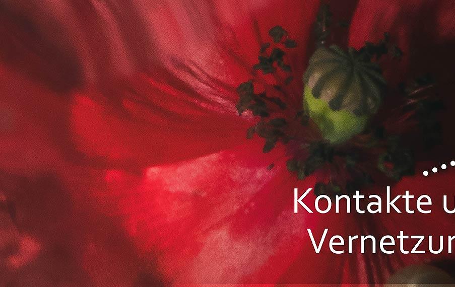 Slider Kontakt und Vernetzung